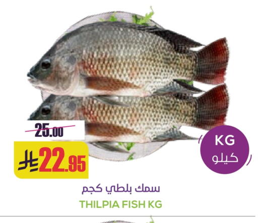 available at سبت in مملكة العربية السعودية, السعودية, سعودية - بريدة