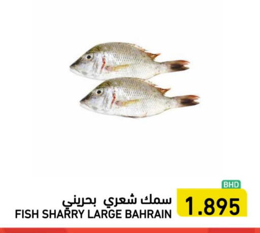 available at رامــز in البحرين