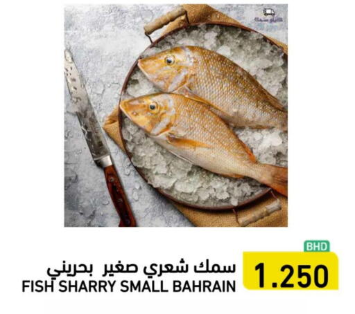 available at رامــز in البحرين