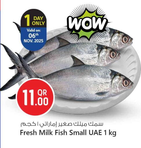 available at Safari Hypermarket in Qatar - Al-Shahaniya