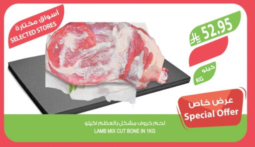 لحم الضأن / الغنم available at المزرعة in مملكة العربية السعودية, السعودية, سعودية - تبوك