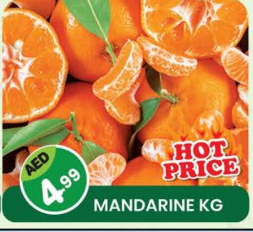 available at فريش سبايك سوبرماركت in الإمارات العربية المتحدة , الامارات - دبي