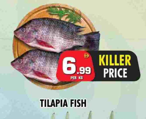 available at NIGHT TO NIGHT DEPARTMENT STORE in UAE - Sharjah / Ajman