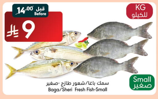 available at مانويل ماركت in مملكة العربية السعودية, السعودية, سعودية - جدة