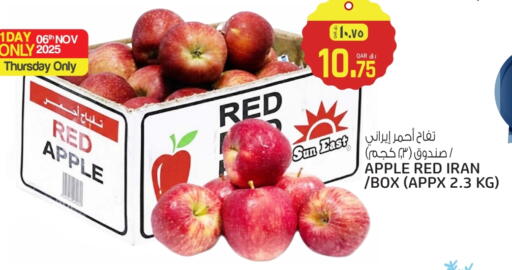تفاح from Iran available at السعودية in قطر - الشمال