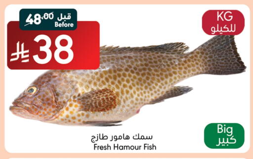 available at مانويل ماركت in مملكة العربية السعودية, السعودية, سعودية - جدة