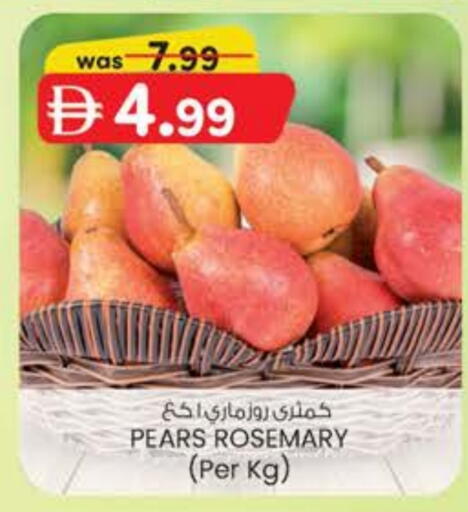 Rosemary available at الصفا in الإمارات العربية المتحدة , الامارات - ٱلْعَيْن‎