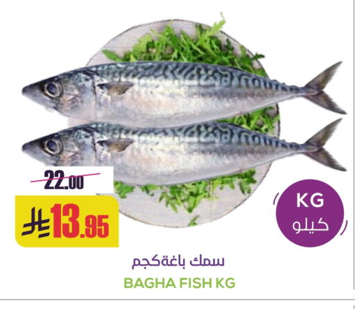 available at سبت in مملكة العربية السعودية, السعودية, سعودية - بريدة