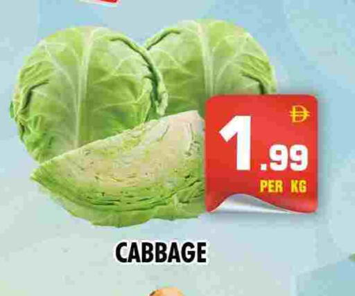 Cabbage available at NIGHT TO NIGHT DEPARTMENT STORE in UAE - Sharjah / Ajman