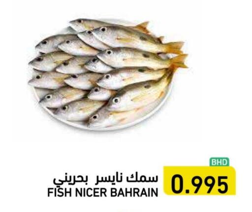 available at رامــز in البحرين