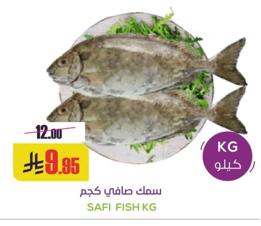 available at سبت in مملكة العربية السعودية, السعودية, سعودية - بريدة