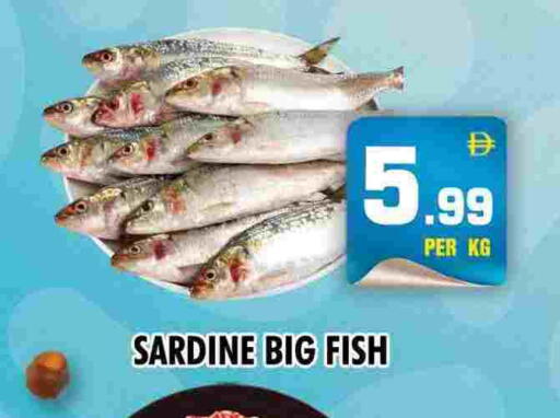 available at NIGHT TO NIGHT DEPARTMENT STORE in UAE - Sharjah / Ajman