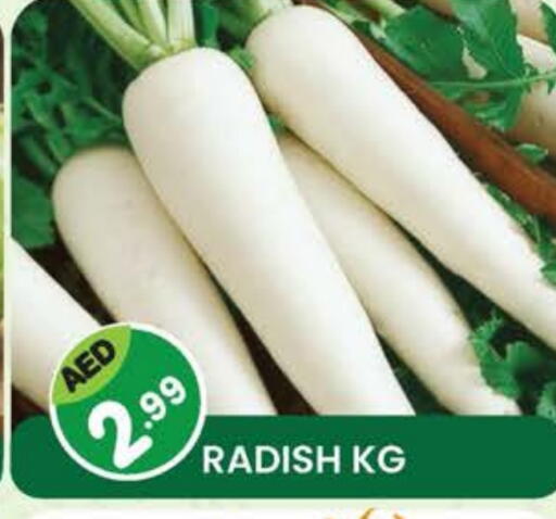 Radish available at Fresh Spike Supermarket in UAE - Dubai