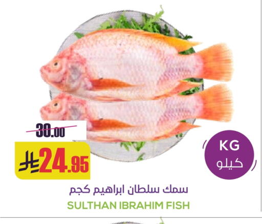 available at سبت in مملكة العربية السعودية, السعودية, سعودية - بريدة