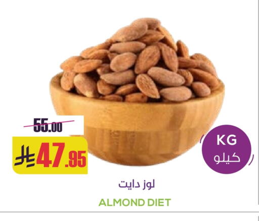 available at Sapt in KSA, Saudi Arabia, Saudi - Buraidah