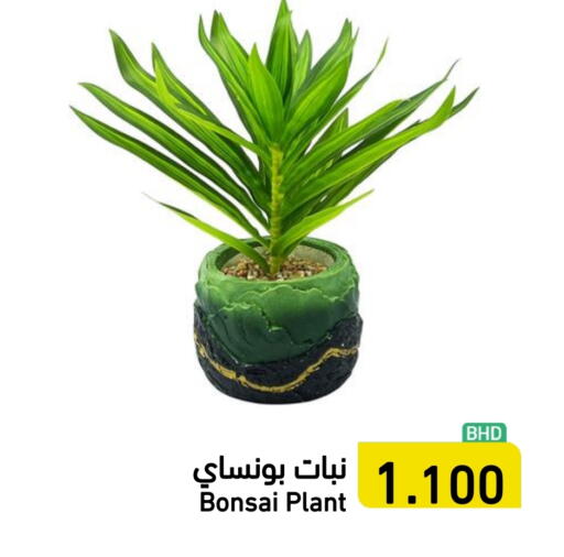 available at Ramez in Bahrain