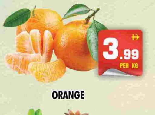 Orange available at NIGHT TO NIGHT DEPARTMENT STORE in UAE - Sharjah / Ajman