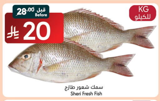 available at مانويل ماركت in مملكة العربية السعودية, السعودية, سعودية - جدة