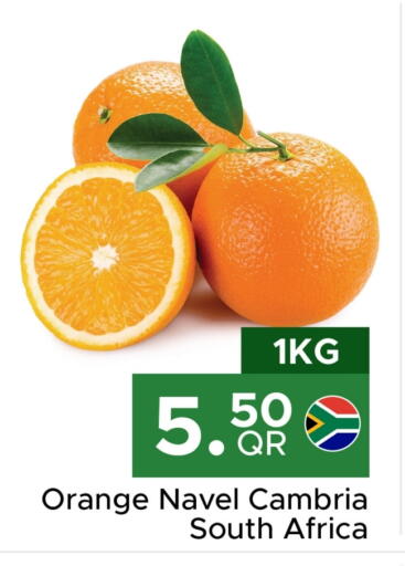 برتقال from South Africa available at مركز التموين العائلي in قطر - الخور