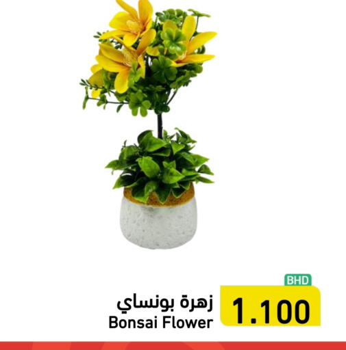 available at Ramez in Bahrain