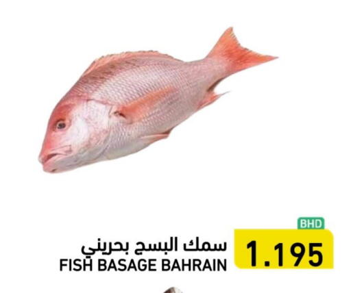 available at رامــز in البحرين