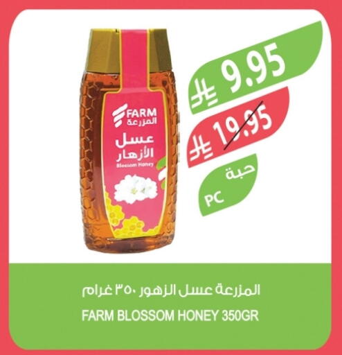 عسل available at المزرعة in مملكة العربية السعودية, السعودية, سعودية - تبوك