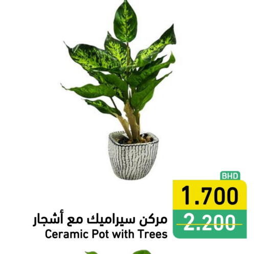 available at Ramez in Bahrain