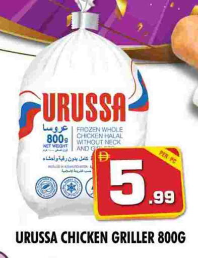 Frozen Whole Chicken available at NIGHT TO NIGHT DEPARTMENT STORE in UAE - Sharjah / Ajman