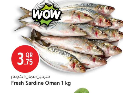 available at سفاري هايبر ماركت in قطر - الشمال