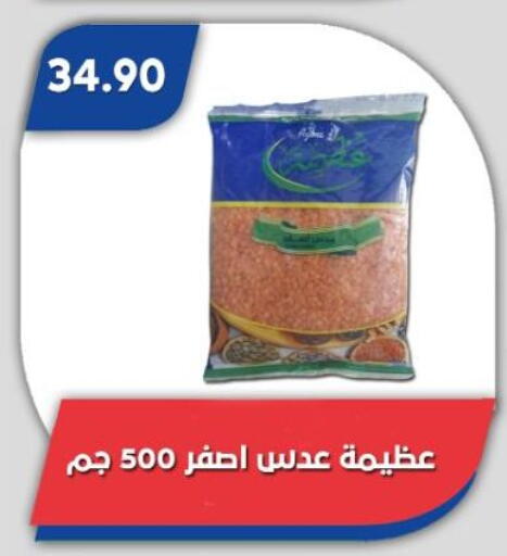 available at باسم ماركت in Egypt - القاهرة