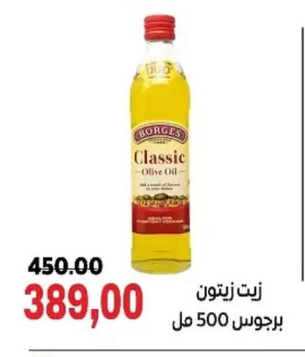 زيت الزيتون available at جلهوم ماركت in Egypt - القاهرة
