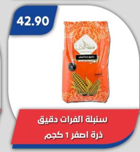 طحين الذرة available at باسم ماركت in Egypt - القاهرة