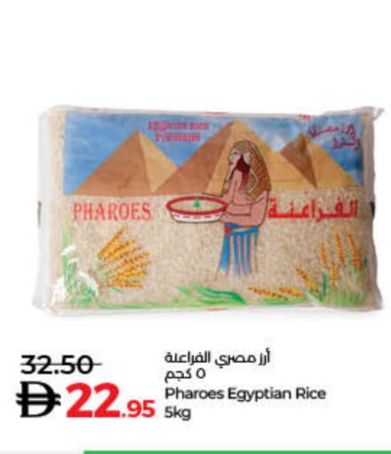Calrose Rice available at Lulu Hypermarket in UAE - Sharjah / Ajman