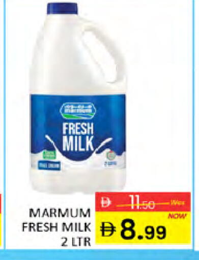 حليب طازج available at المدينة in الإمارات العربية المتحدة , الامارات - دبي