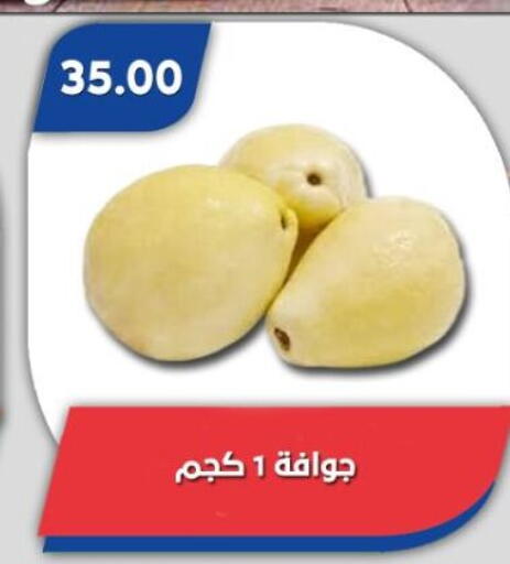 Guava available at Bassem Market in Egypt - Cairo