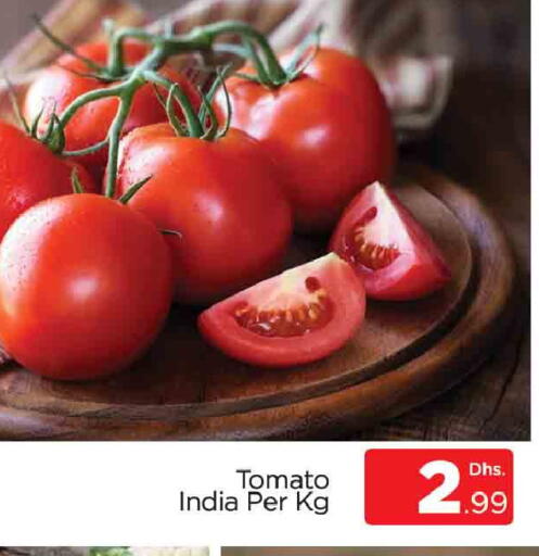 Tomato from India available at AL MADINA (Dubai) in UAE - Dubai