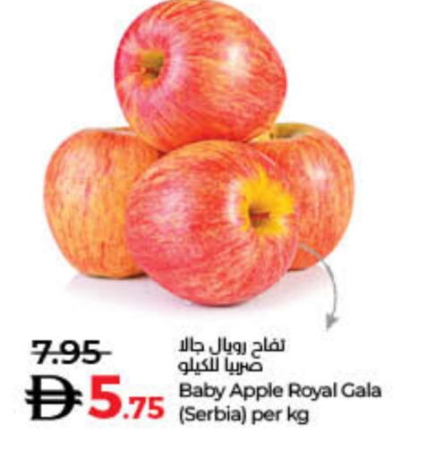 Apples from Serbia available at Lulu Hypermarket in UAE - Ras al Khaimah