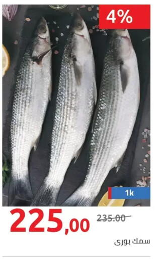 available at هايبر وان in Egypt - القاهرة