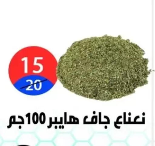 available at هايبر المدينة دمياط in Egypt - القاهرة
