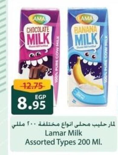 Banana available at سبينس in Egypt - القاهرة