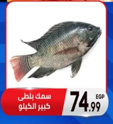 available at أولاد المحاوى in Egypt - القاهرة