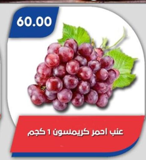 Grapes available at Bassem Market in Egypt - Cairo