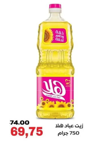 زيت دوار الشمس available at جلهوم ماركت in Egypt - القاهرة