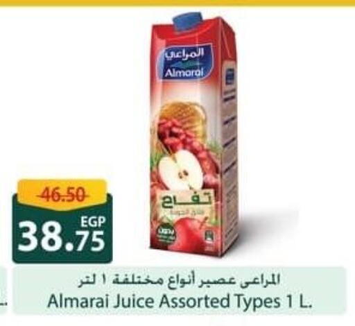 المراعي available at سبينس in Egypt - القاهرة