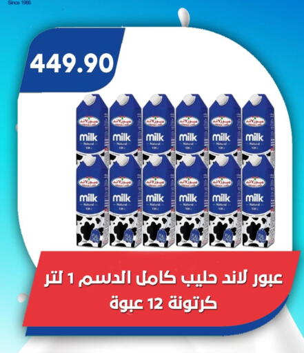 available at باسم ماركت in Egypt - القاهرة