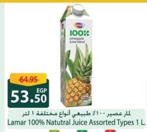 Pineapple available at سبينس in Egypt - القاهرة