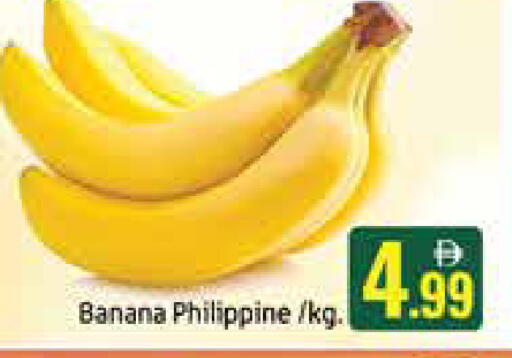 Banana from Philippines available at Mango Hypermarket LLC in UAE - Dubai