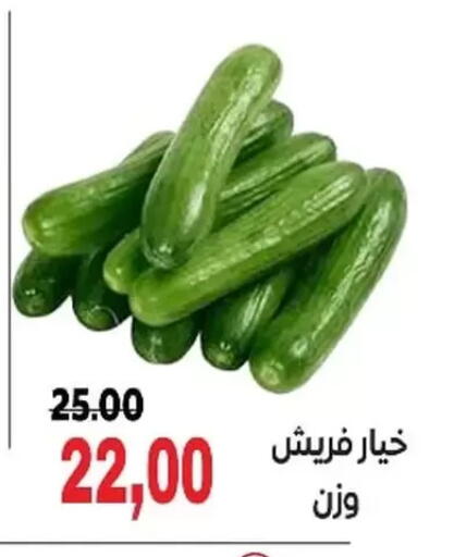 available at جلهوم ماركت in Egypt - القاهرة