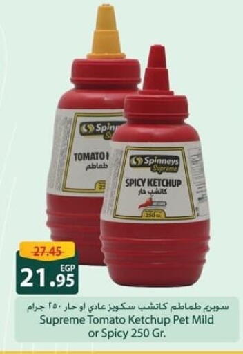 Tomato available at سبينس in Egypt - القاهرة