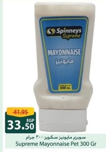 مايونيز available at سبينس in Egypt - القاهرة